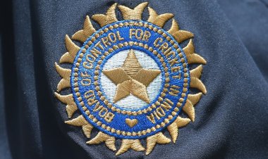 Court asks BCCI to pay INR 539 crore over Kochi Tuskers Kerala termination issue